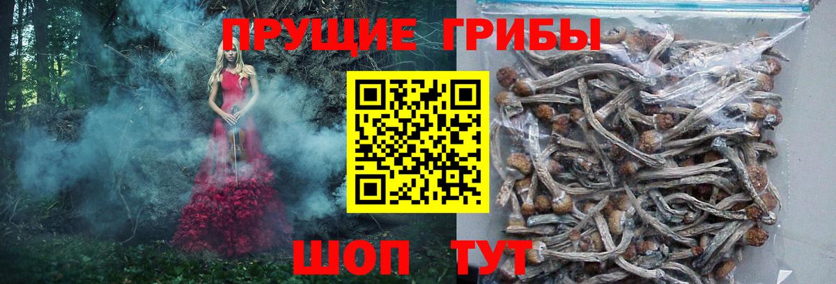 Галлюциногенные грибы прущие грибы  Галлюциногенные грибы Psilocybe  продажа наркотиков  Вход с VPN  Беслан 