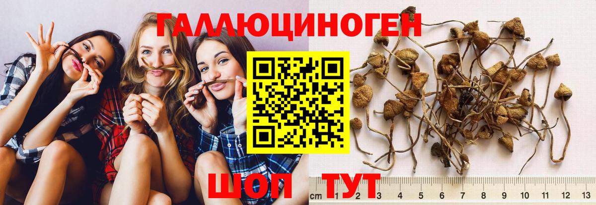 Галлюциногенные грибы ЛСД Беслан